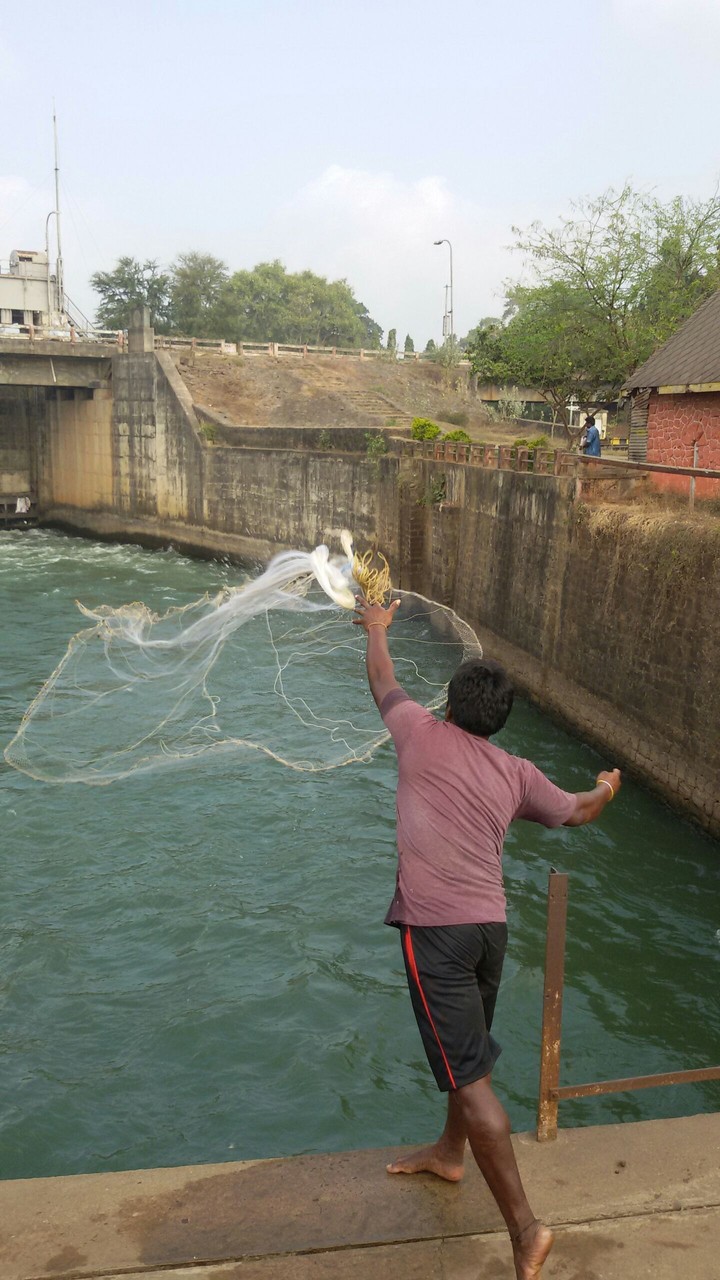 fishing