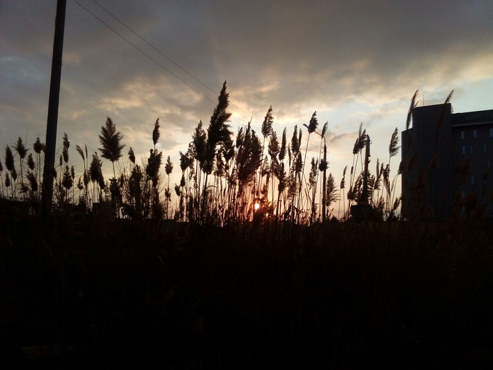 sunset