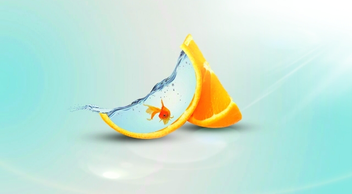 Fruit fish