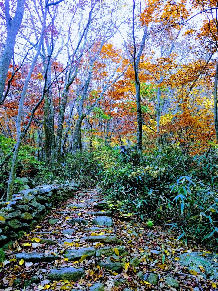 지리산
