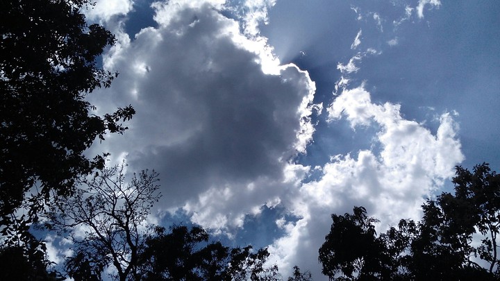 cielo