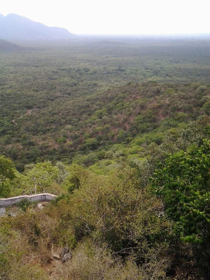 trekking has never been easy
