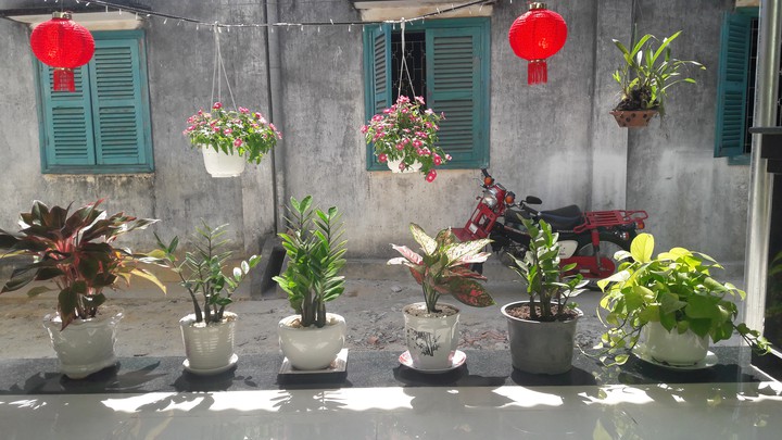 My house