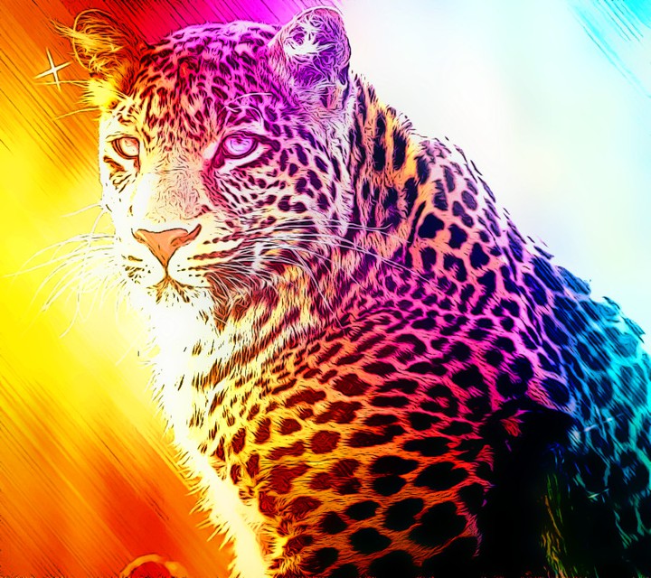 Rainbow Leopard