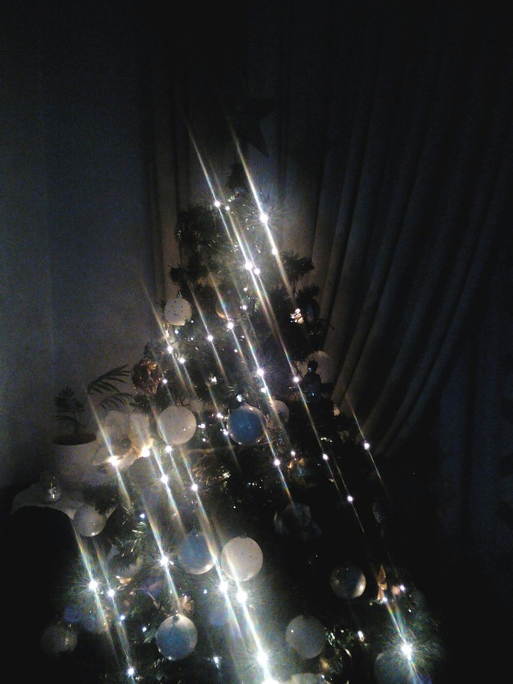 CHRISTMAS TREE