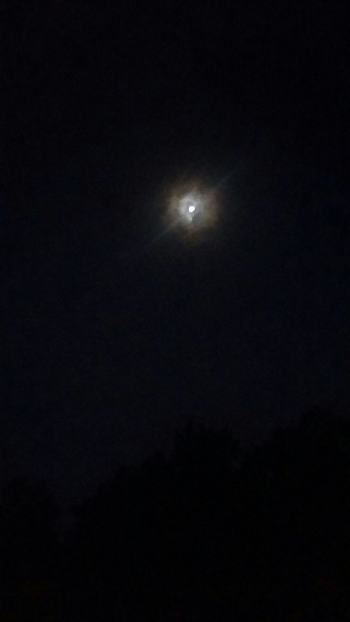 moonlight