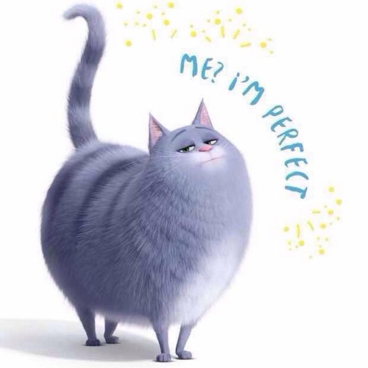 кот