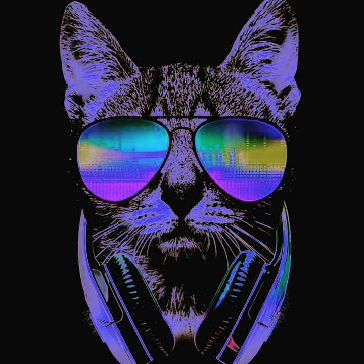 the cat