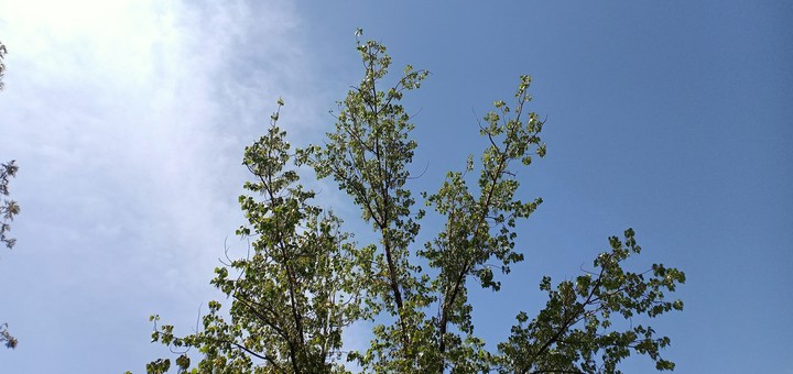 blue sky