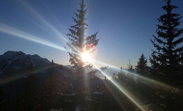 in the winter sunshine