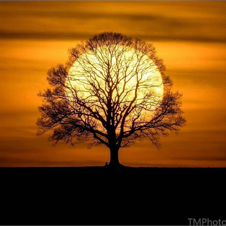 TreeSet