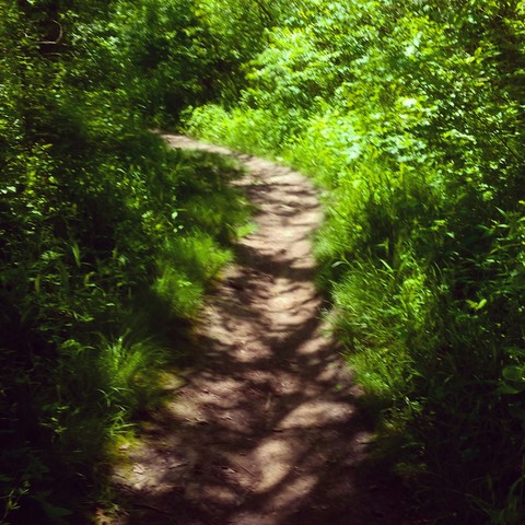 trail at rock cut