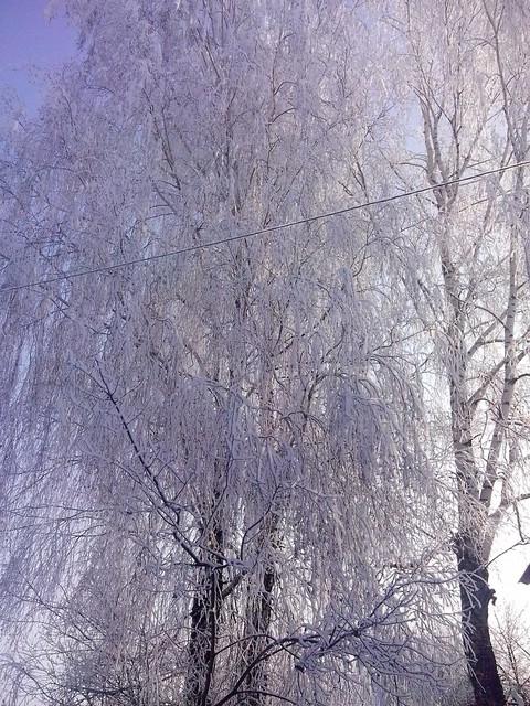 Winter