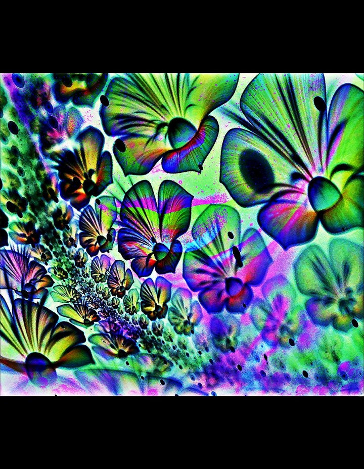 Kisses of flowers