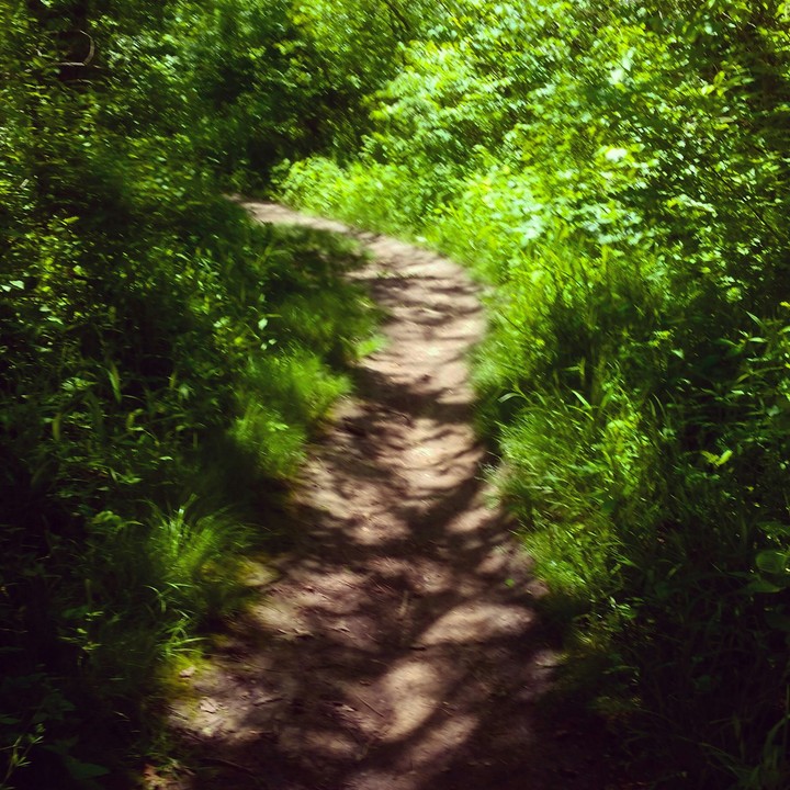 trail at rock cut