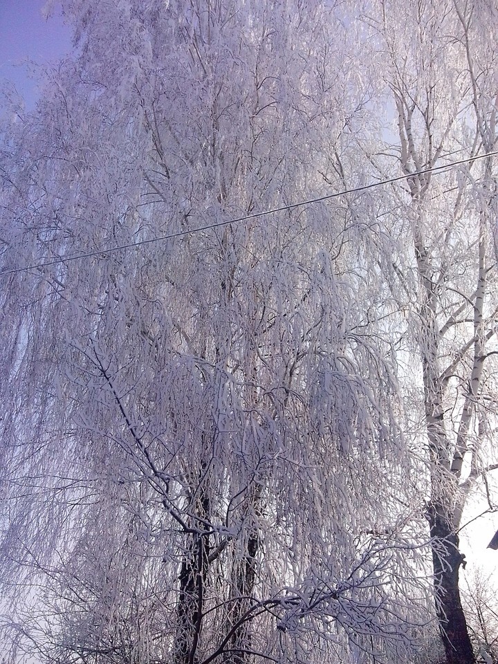 Winter