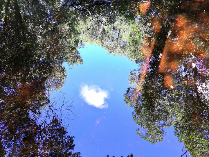 Sky & water