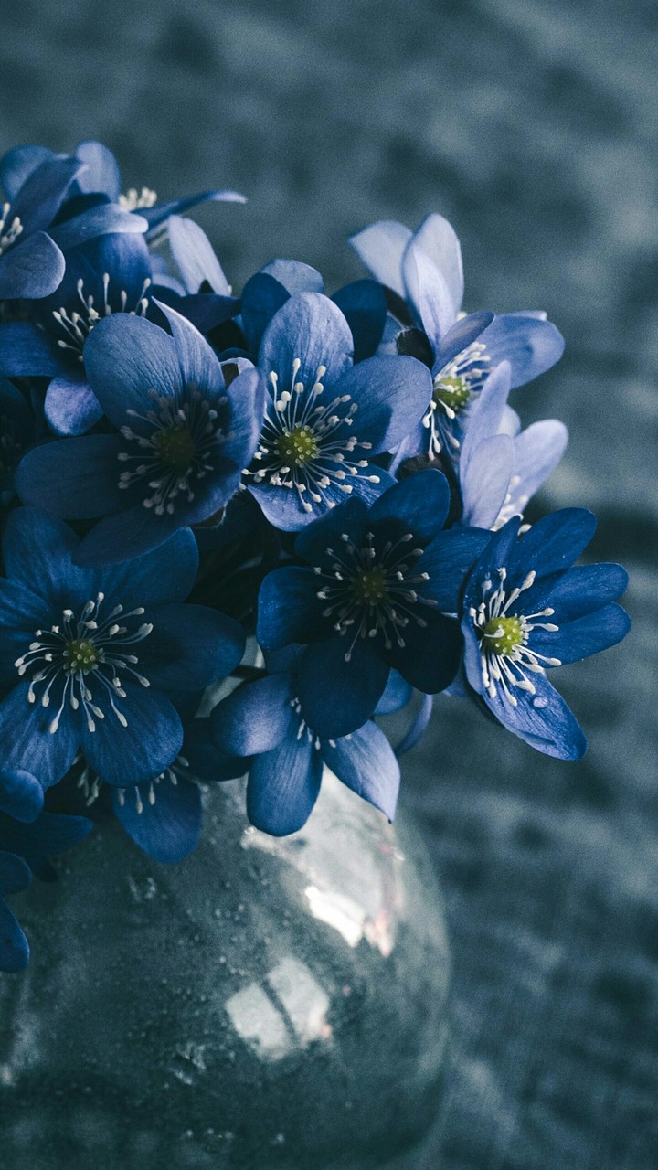 flovers