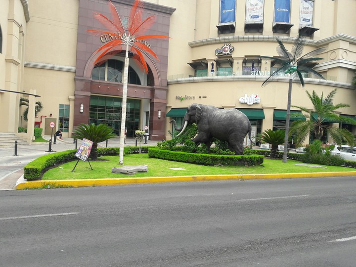 centro magno plaza