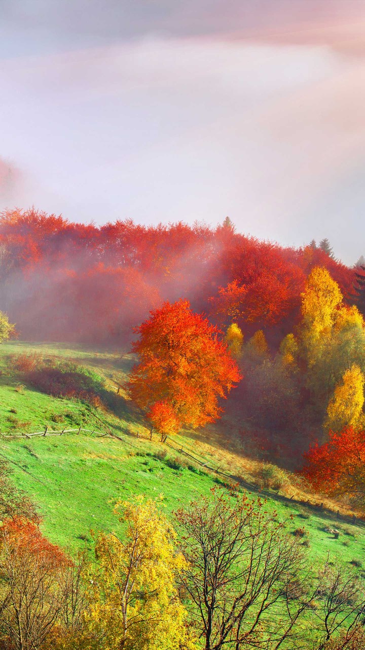 naturaleza