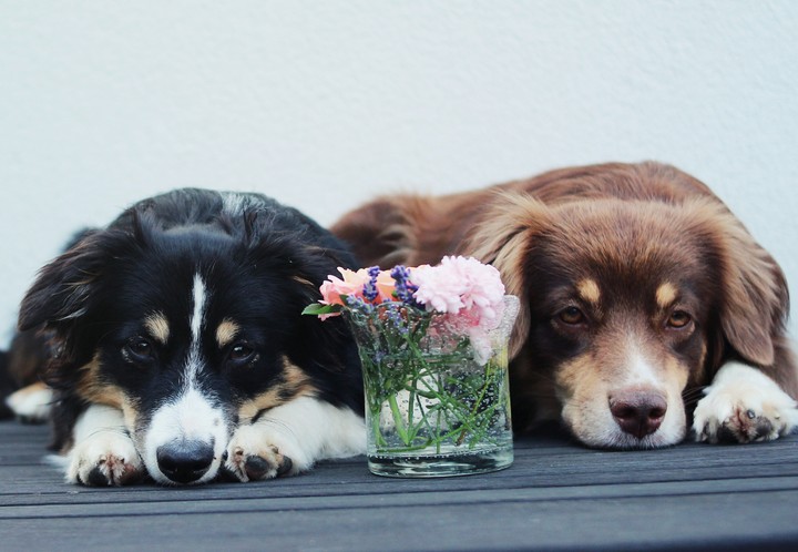 sisters