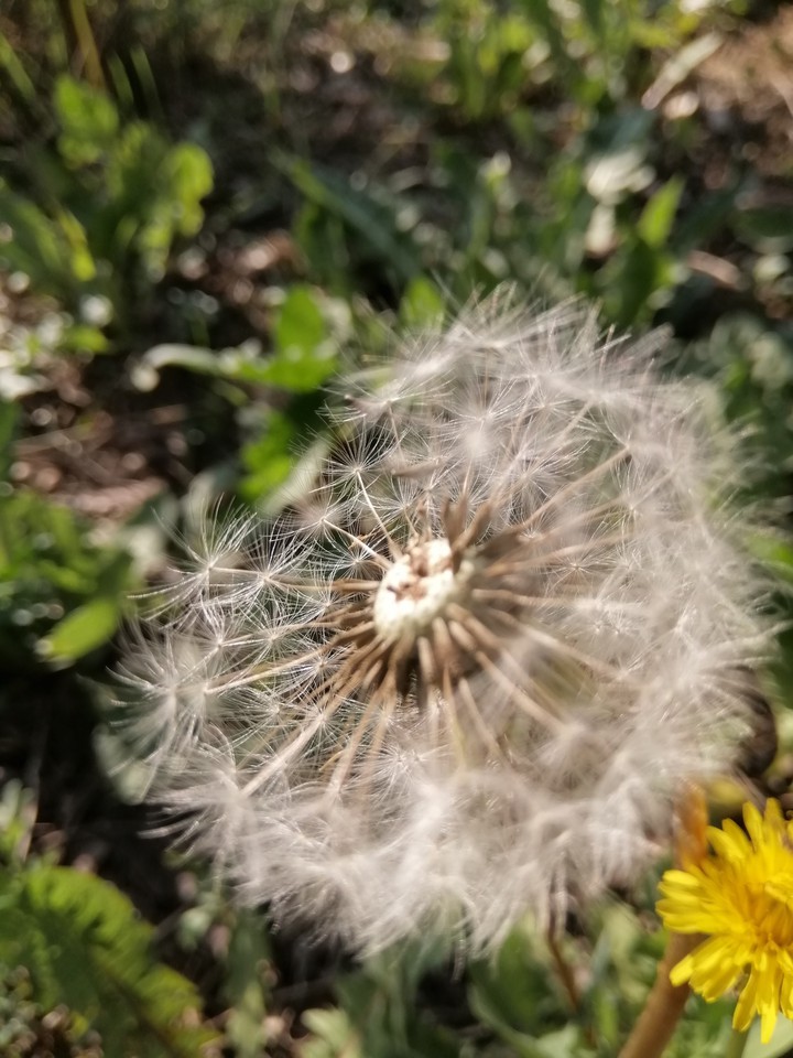 Nature
