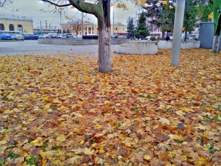 осень