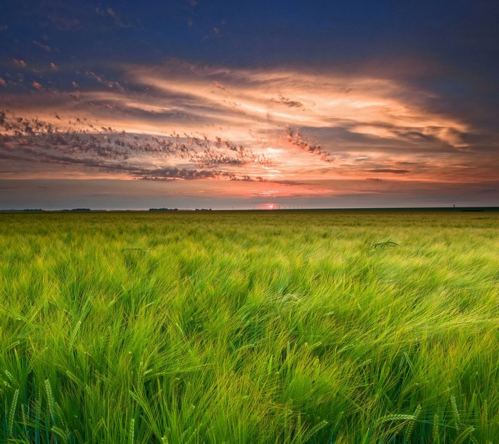 nature
