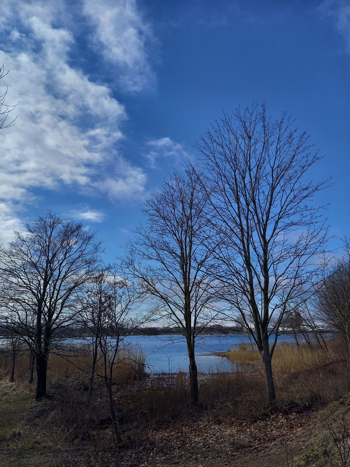spring