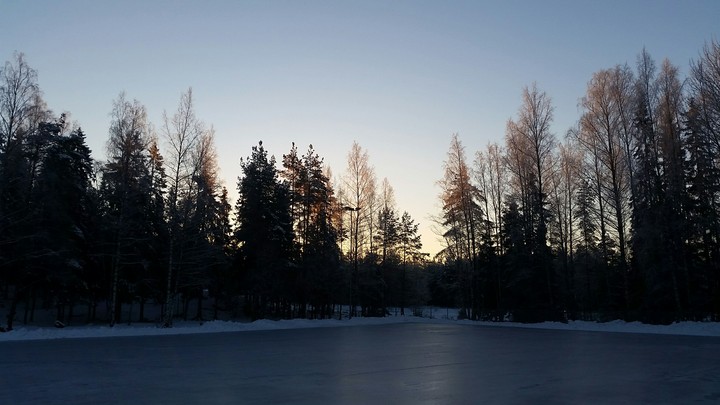 ice and the morning sun
