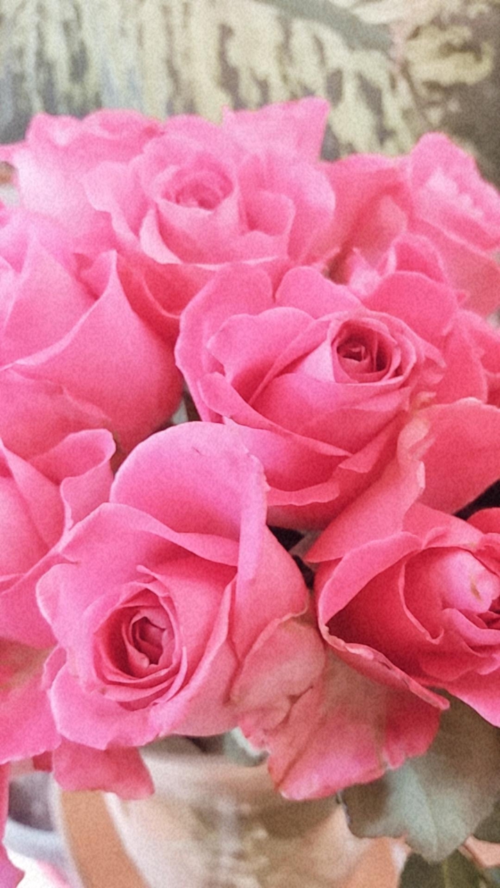 rosse