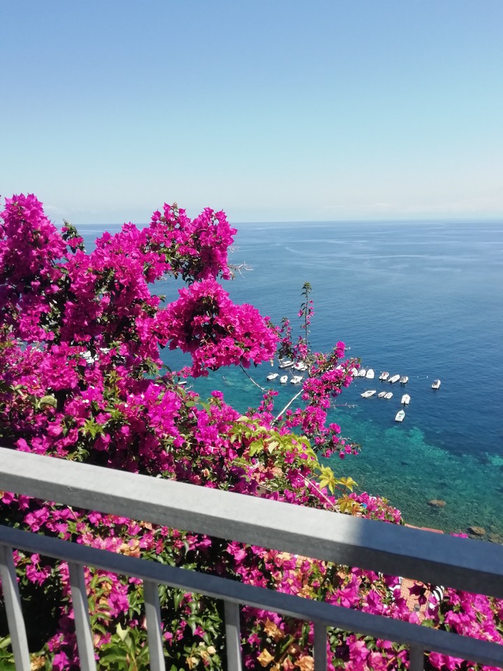 Mare
