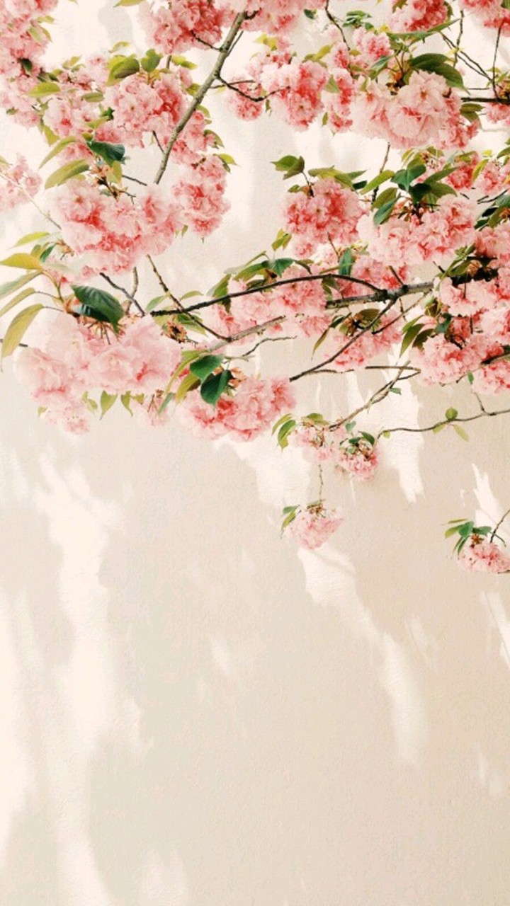 flowers!!