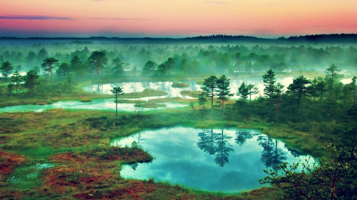 Nature