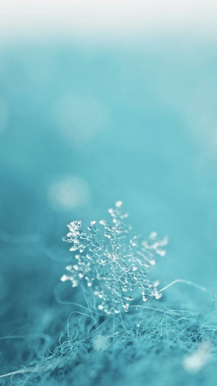 snow