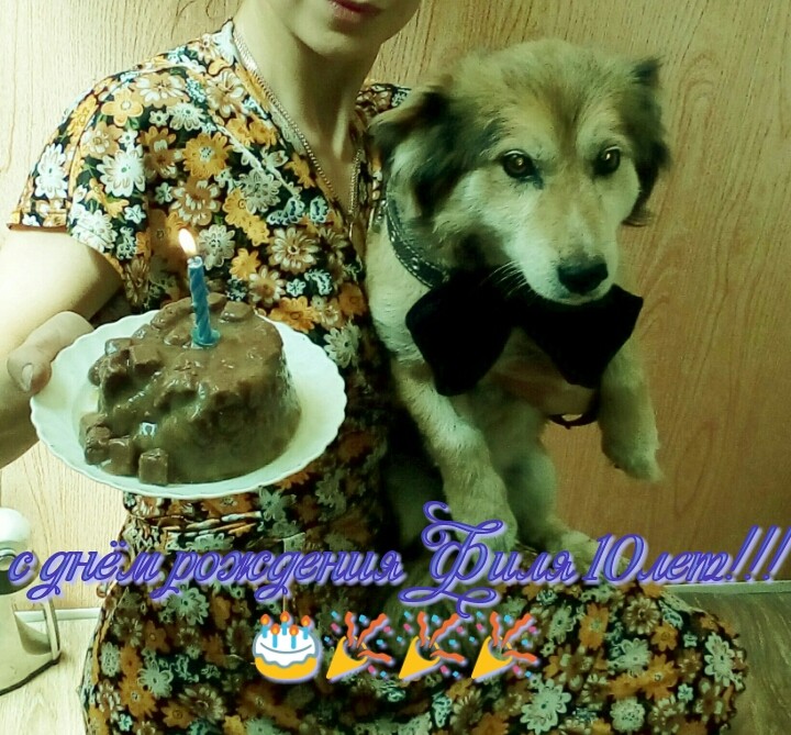 с днём рождения Филя 10лет!!!❤❤❤