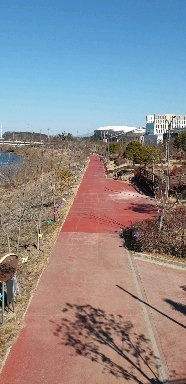 On a windy day in Jinju Nam River, Korea.