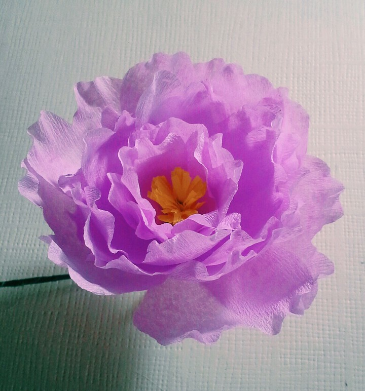 paper