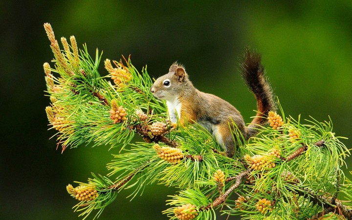Nature