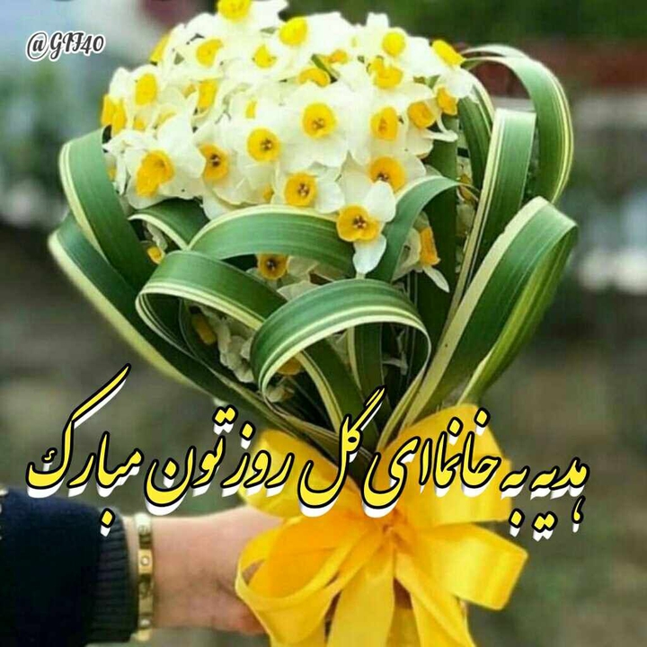 مادر . زن .mother
