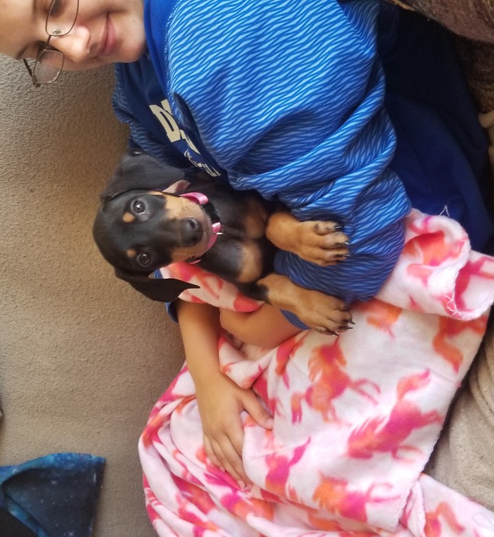 my dog2