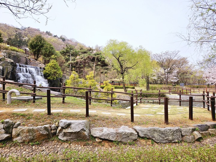 a garden in full bloom