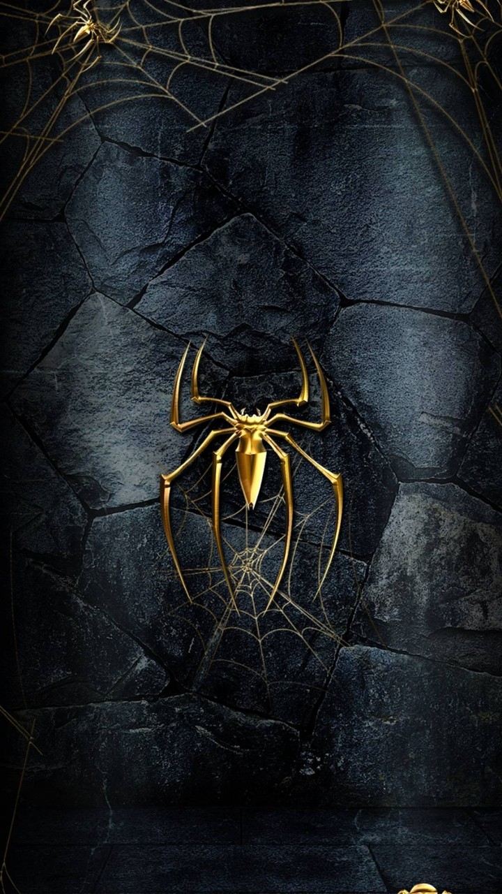spider