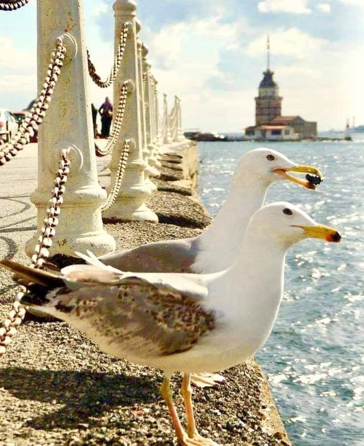 ❤