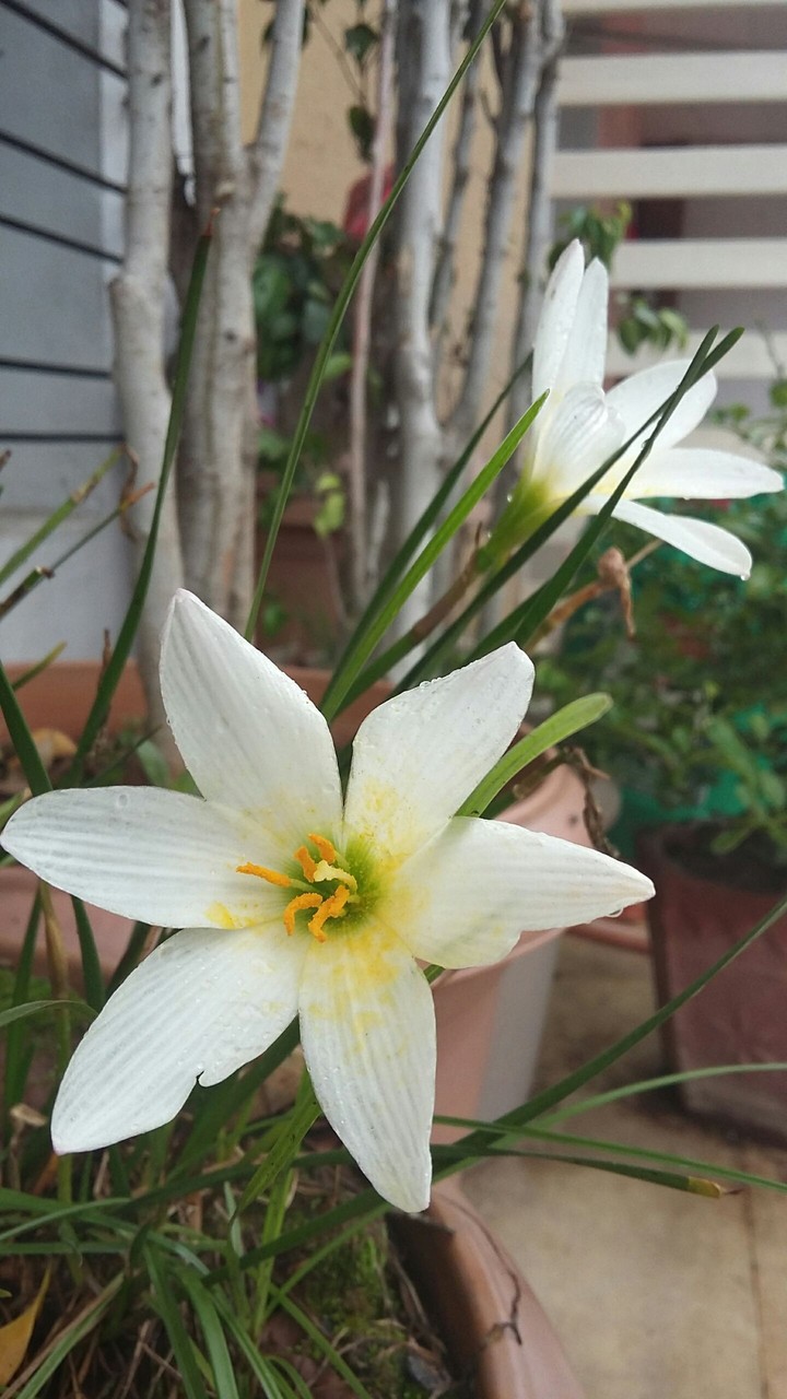 after a rainy day