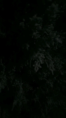❄?