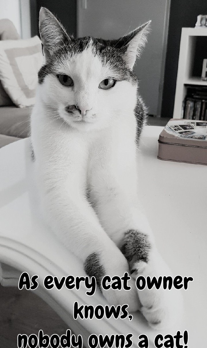 Mr. Stinky Winky