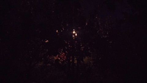 Lights