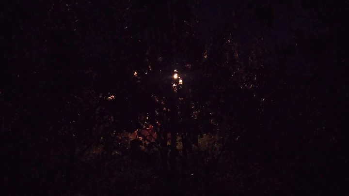 Lights