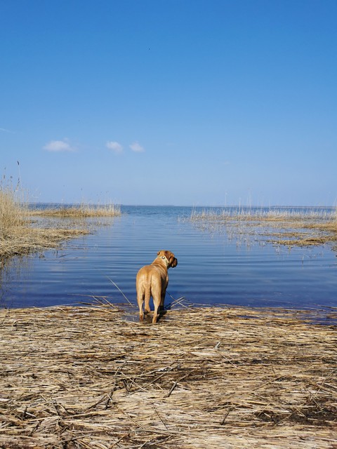 Ostsee